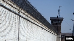 عکس تزیینی است