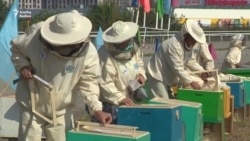 Уфада умартачыларның бөтенрусия бәйгесе үтте