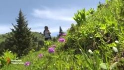 Каракол - кыргыз Давосу