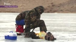 Данисте: Балык кумарына багынгандар