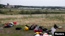 Место крушения малайзийского самолета под Донецком, 18 июля 2014 