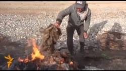 Малчынын акталбаган мээнети