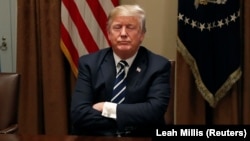 Трамп зустрічався з Путіним у липні в Фінляндії, після тривалих консультацій сторони вирішили відкласти наступний повноформатний американсько-російський саміт до наступного року