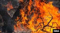 آتش‌سوزی در جنگل‌های کوهدشت استان لرستان