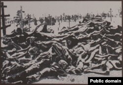 Украинехь мацаллех беллачерийн декъий, 1932-1933-чу шерашкахь мацалла хьегначийн синошна леррина Киевехь хIоттийначу гайтамера сурт, 2007