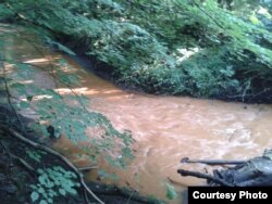 Річка Севастьяновка гірчичного кольору