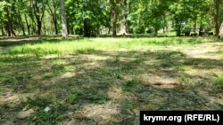 Потрескавшаяся от засухи почва в Гагаринском парке Симферополя – май 2025 года 