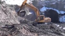 ​Туруктуулукту эңсеген Турук кени