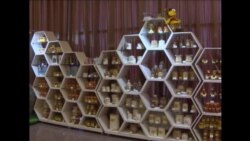 Уфада башкорт балы йорты ачылды