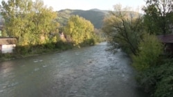 Координатор лісових проектів Всесвітнього фонду природи (WWF) Роман Волосянчук