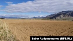 Бишкектин четиндеги айдоо жери. Иллюстрациялык сүрөт.