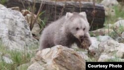 Иллюстративное фото