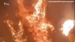 Пять террористов в день