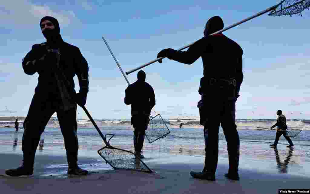 18-nji ýanwarda ýantar ýygnaýanlar deňziň kenarynda dem-dynç alýarlar. &nbsp; Kaliningrad ýantarynyň her bir kilogramy 1000 dollardan gowrak bolup, onuň satuwynda we eksportynda gülläp ösýän gara bazar bar. Hytaý &quot;Baltika altynynyň&quot; dünýädäki iň uly satyn alyjysydyr.