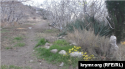 Rustem Useinov östürgen terek ve çeçekler. Qırım, Qapsihor, 2021 senesi noyabr ayı