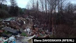 Обычные горожане позволяют себе выбрасывать мусор там, где удобно, – в устья рек или зоны зеленых насаждений