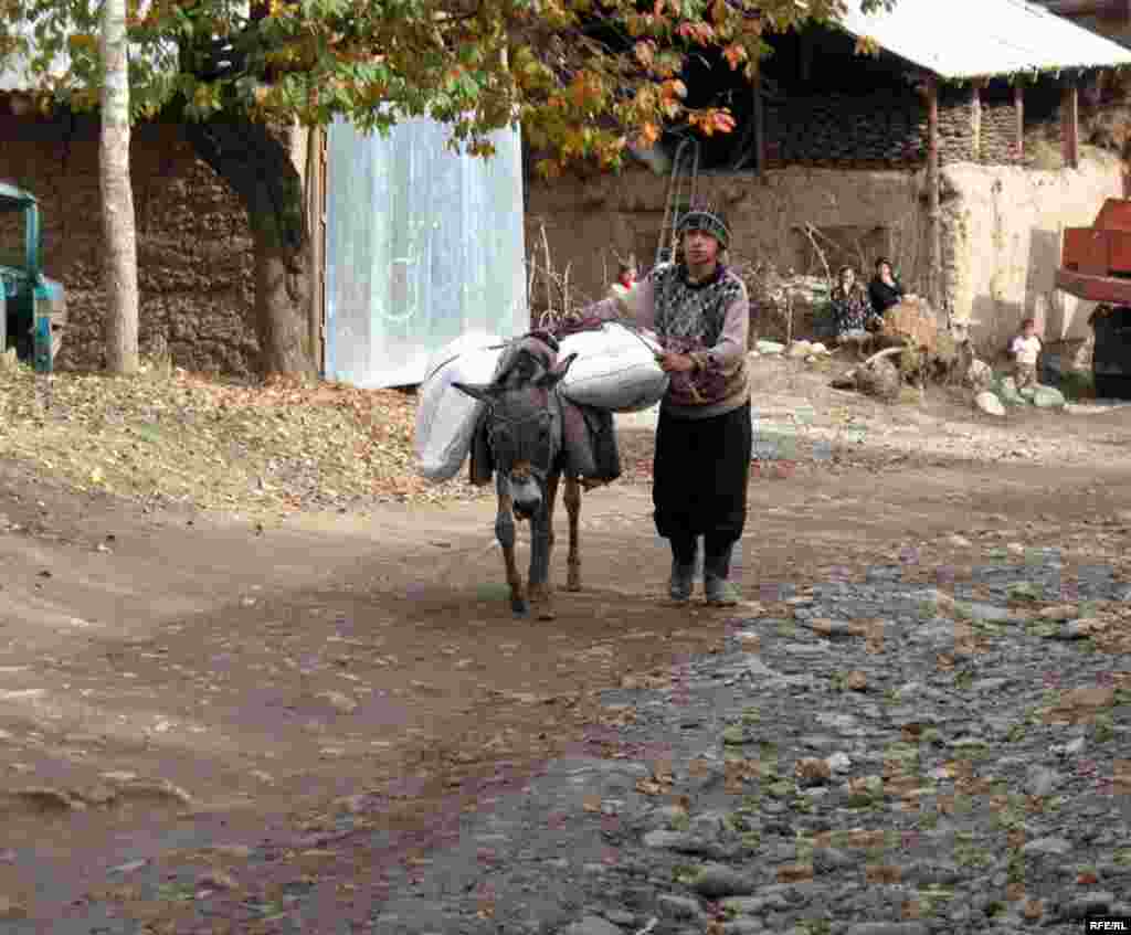 Рӯзгори ҷавонони тоҷик #54