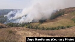 Янгын күренеше