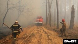 Пажар у чарнобыльскай зоне, 10 красавіка 2020 году