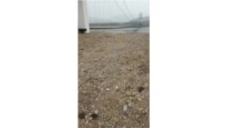 "Танцующий" подвесной мост между Михайловкой и Приисковой.mp4