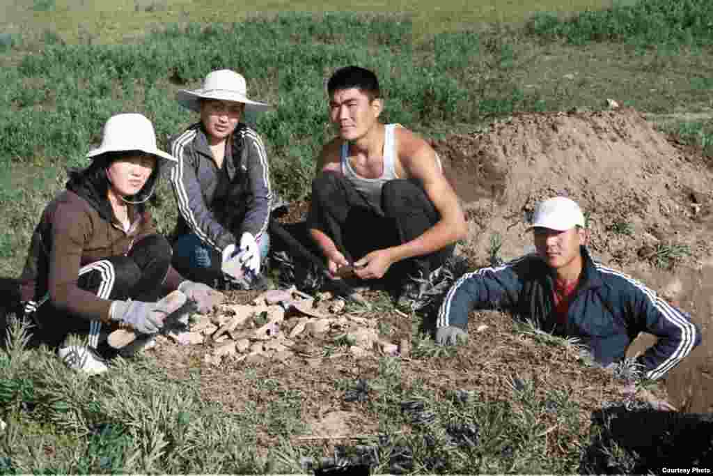 Кочкор-Башы: "Төрт-Күл" шаар чалдыбарын казууга катышкан студенттер.  - Нарын облусунун Кочкор өрөөнүндөгү Кум-Дөбө айылындагы байыркы Кочкор-Башы шаарынын ордунда ("Төрт-Күл" чалдыбарында) археологиялык казуу иштерине катышкан КУУнун студенттери. Археолог Ороз Солтобаев "Азаттыкка" берген сүрөт. 01.7.2011.  