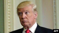 باسرت مستقیما به خود ترامپ پاسخگو خواهد بود