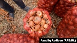 Иллюстративное фото.