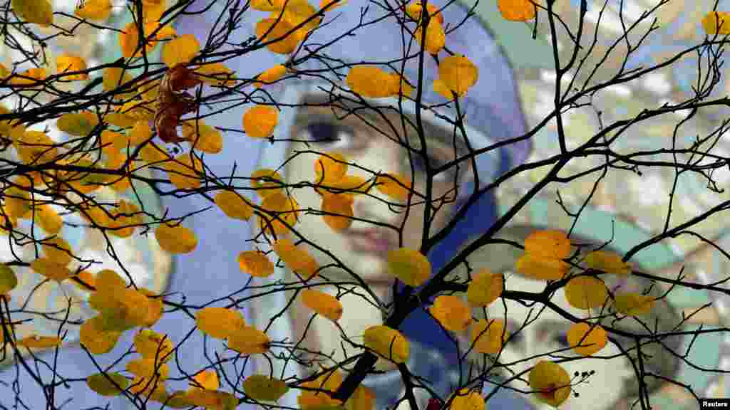 В городском парке Санкт-Петербурга, Россия