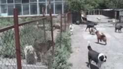 «Յունիգրաֆ Իքսին» առնչվող քրգործը փոխանցվել է ՊԵԿ-ի քննչական ծառայություն