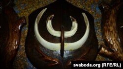 Трафэі беларускага паляўнічага