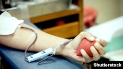 Кан донору. Иллюстрациялык сүрөт.