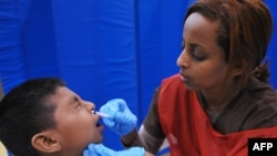 Главное же выдвигаемое обвинение против ВОЗ - необоснованное объявление пандемии свинного гриппа