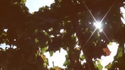 Х.Мирсаидов: Если каждый будет закрывать глаза на проблемы, кто будет строить Таджикистан?