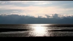 Молчание слов