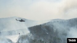 در سال ۲۰۰۶ ميلادی در مجموع، ۳۹ هزار و ۷۶۱ هکتار جنگل در ايتاليا در آتش سوزی های عمدی از بين رفت.