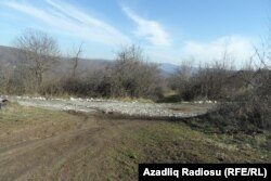 Tikinti üçün hazırlanmış yer