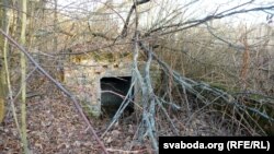 Усё што засталося ад абжытага людзьмі месца – падмурак, які паволі хавае расьліннасьць