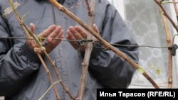 Кримськотатарська молитва, ілюстраційне фото