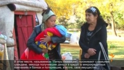 Чакан насыя байытабы же курутабы? 