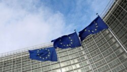 ԵՄ ԱԳ նախարարները հեռավար հանդիպում են անցկացրել՝ քննարկելու Թրամփ-Պուտին սպասվող բանակցությունները