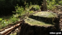 Ілюстраційне фото