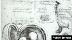 اثری از لئوناردو داوینچی. در ۱۵ آوريل سال ۱۴۵۲ ميلادی «لئوناردو داوينچی» دانشمند و هنرمند نامدار ايتاليايی بدنيا آمد