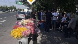 Ծաղիկ աճեցնողները բողոքի ակցիայի էին դուրս եկել Երևան-Արմավիր մայրուղում