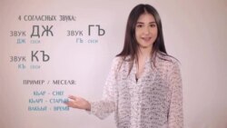 «Elifbe» video dersleri. Qırımtatar sarfı
