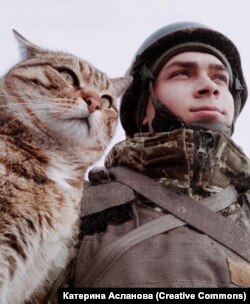 Хлопець Катерини