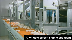 Döwlet TW-sindäki ýumurtga 'bolçulygy'.