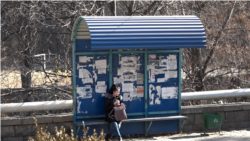 Տրանսպորտի բարելավման փորձեր Ալավերդիում՝ կարկուտնից մինչև քաղաքական փոթորիկ
