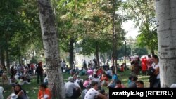 Көк шиберди майкандап...