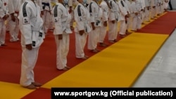 Иллюстрациялык сүрөт.