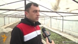 Բանկերը դրամով վարկ չեն տալիս